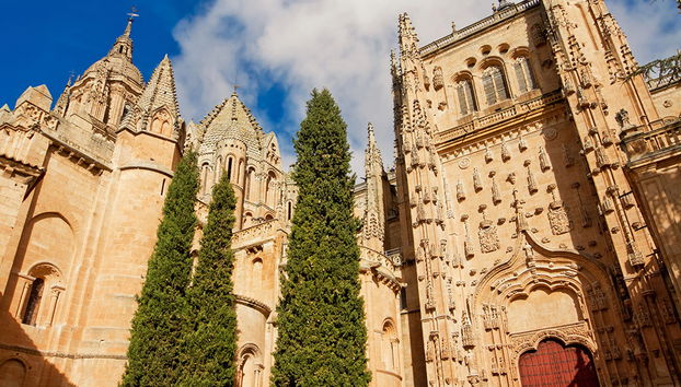 Ávila y Salamanca - Tour de día completo - Foto 3