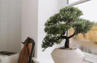 Woodhaven Stays - Foto 14