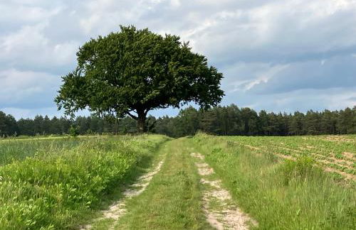 Gemütliche Ferienwohnung im Keller - Foto 10
