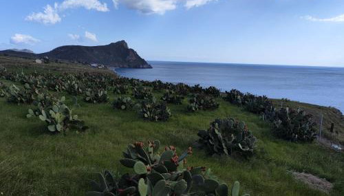 ENDLESS BLUE - Foto 4