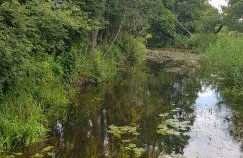 Apartament w Supraślu - Foto 11