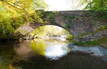 garden view apartment - Photo 13