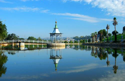 Vale do Grou Natura - Foto 42