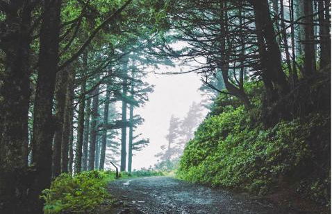 Casetta del Rio - Foto 40