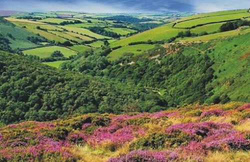 The Old Forge Exford - Foto 20