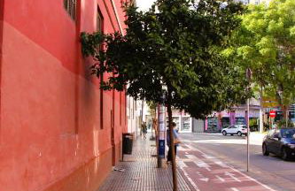 La Casa El Molinillo - Guesthouse - Foto 34