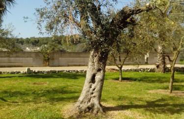 B&B Lu Palummaru - Foto 28