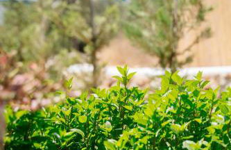 Xerolithia Guesthouse - Photo 49