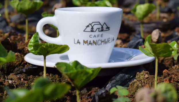 Tour por una finca de café de Salgar - Foto 2, Descubriendo todos los secretos del café colombiano en Salgar