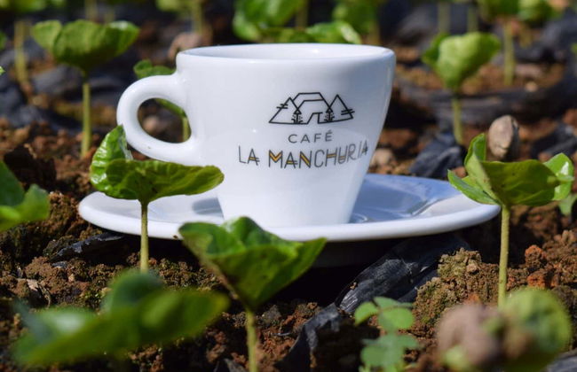 Tour por una finca de café de Salgar - Foto 2