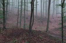 Ferienwohnung Bachstelze mit privater Terrasse - Foto 47