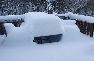 Haus Bodetal - Foto 5