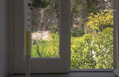 Dimore Santojanni - La Casa sul Porto - Foto 42