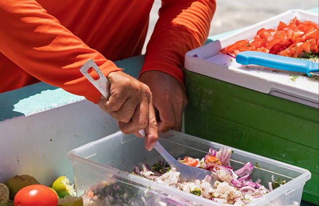 Snorkelling with Whale Sharks in Holbox - Photo 6