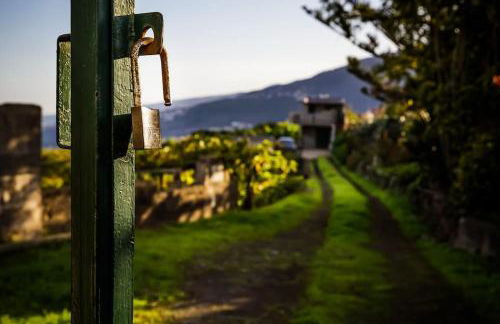 Finca Marañuela - Foto 2