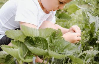 Tiny House 2 im Allgäu mit gr. Garten, Randlage - Foto 28
