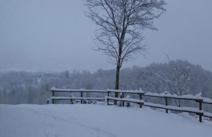 Il Gelso Rosso - Foto 7