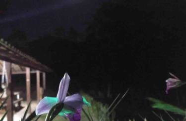 Nosso cantinho, Pedaço do paraíso na Natureza - Photo 42