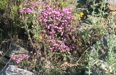 Val d'Azur Plein sud Face aux Pistes - Foto 23