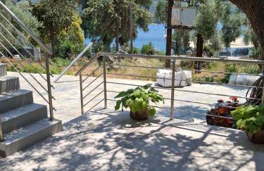 Trikeri Inn - Photo 30