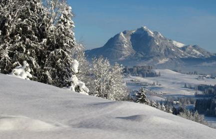Hornblick FEWO- ab Mai freie Fahrt mit Bergbahnen - Foto 12