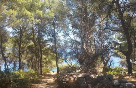 Apartment Bruna - Foto 38