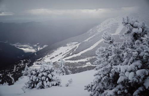 Apartaments Piteus Casa Dionís - Foto 86