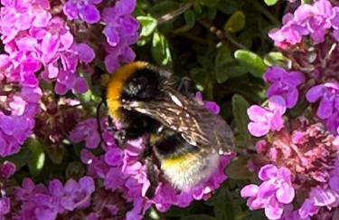 The Granary - Wood Farm Barn. Luxury Barn with wonderful countryside views - Foto 44