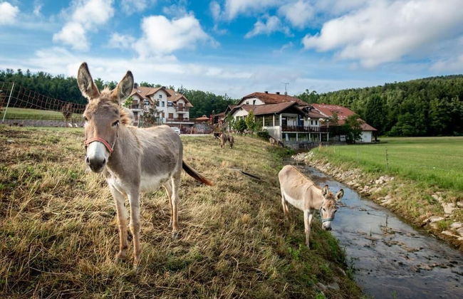 EkoTurizem Hudičevec - Foto 39