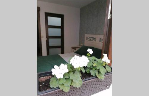 Casa da Placiña - Foto 9