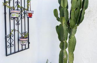 La Vaquería - Foto 69