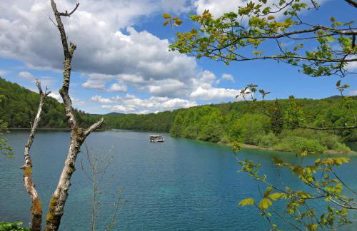 Apartment Majetić - Foto 24