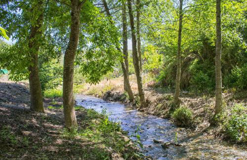 casa el susurro - Foto 57