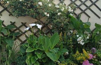 Studio neuf des amandines - Foto 11