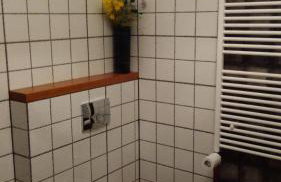 Cztery Pory Lasu - Foto 6