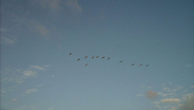 Langeness in Haus Halligblick - Foto 4, Miscelánea