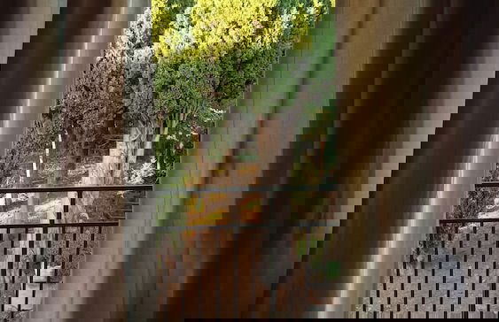 Il Giardino di Daniel Spoerri - Foto 35