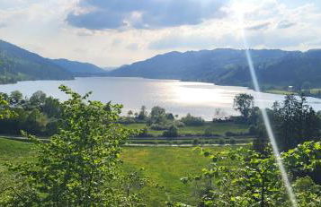 Ferienhof Rindalphorn mit Sauna in ländlicher Idylle - Foto 42