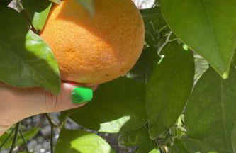 Holiday Home in Sa Ràpita mit Großer Terrasse by Interhome - Foto 6