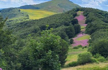 Domki Nad Jeziorem 781-281-434 - Photo 39