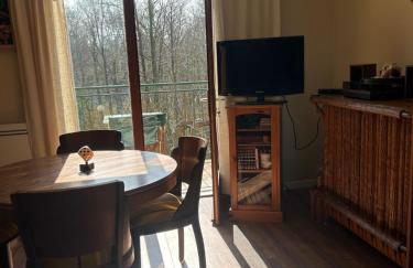 Chez Alexandrine Havre de paix romantique & bucolique Sous les étoiles exactement et proche des châteaux de la Loire et du Parc de Beauval - Foto 12