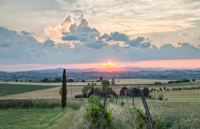 Villa in Cortona With Pool & Countryside Views - Foto 25