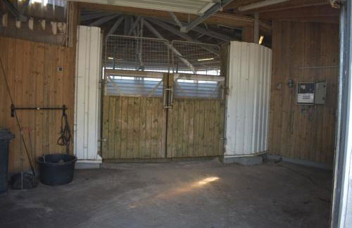 Idylle auf dem Reiterhof bei Husum - Foto 23