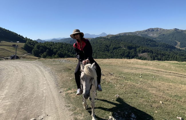 Chalet Kolasin Montenegro - Foto 80