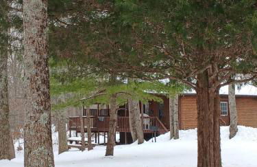 Deluxe Cabin #15 with Hot Tub on Patoka Lake in Southern Indiana - Foto 3