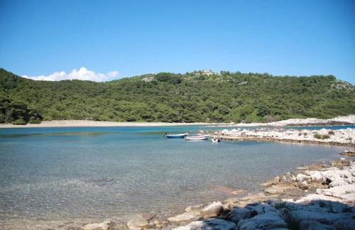 Baldo's Happy Garden- BRAND NEW - Foto 25