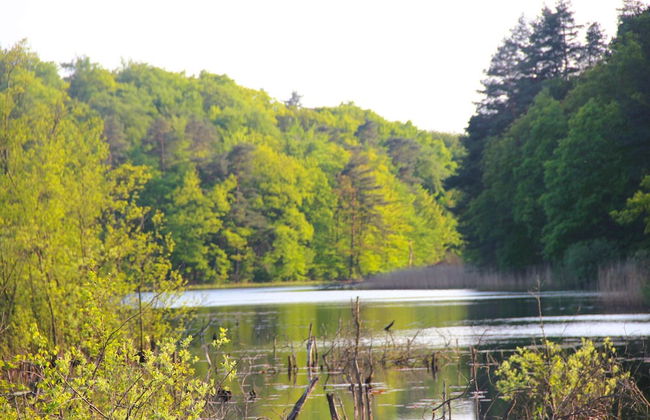 Bungalow in Kolczewo at a Lake - Photo 23