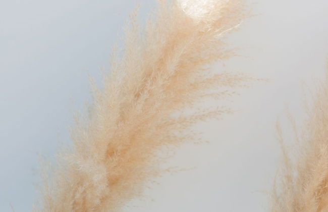 The Olive Boutique Suites and Spa - Foto 65