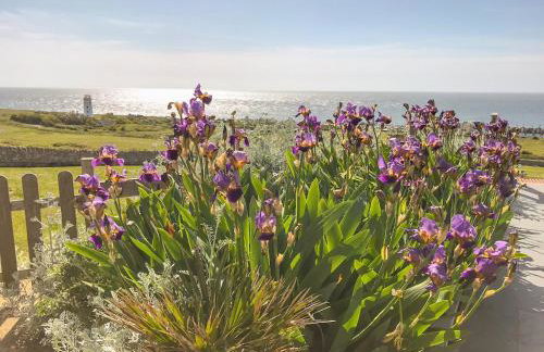 Lloyds Cottage - Foto 21