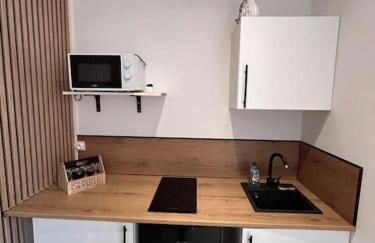 Le Nid Tranquille de Nancy - Photo 2